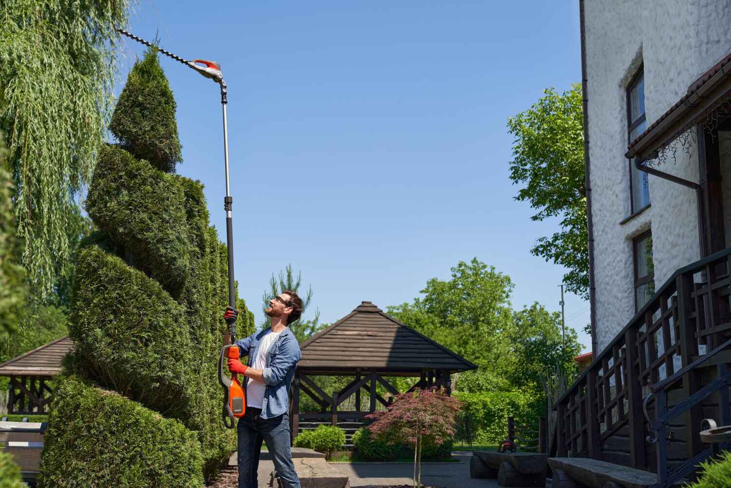 Best Arborist Services Near Me  in Fort Washington, MD